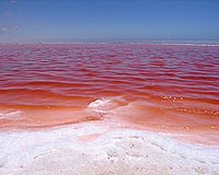 Permian Polluters