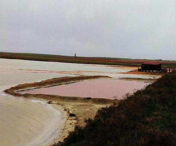 Back in the pink: Senegal salt lake gets its colour back