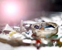 New study reveals the global impact of debris on marine life