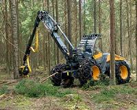 Modern logging techniques benefit rainforest wildlife