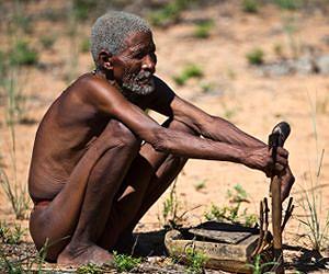 Researchers use genome sequences to peer into early human history
