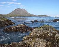 Obama bars oil, gas drilling in Alaska haven
