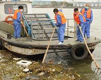Flood of dead pigs in China reservoir: report