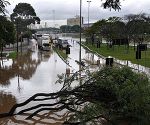 Sao Paulo environment czar roots for cities at Rio+20