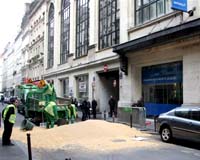 3 million Italians sign anti-GM petition