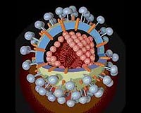Scientists find compound to fight virus behind SARS, MERS