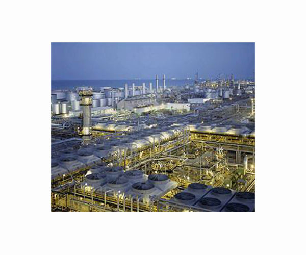 Oil-reliant Saudi Arabia faces questions over 'net zero' pledge