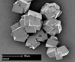 'Seeding' The Next Gen Of Smart Materials