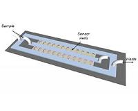 New chip makes testing for antibiotic-resistant bacteria faster, easier