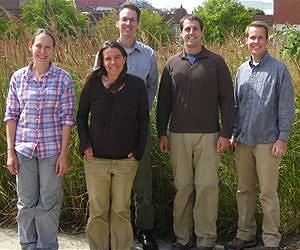New approach challenges old ideas about plant species and biomass