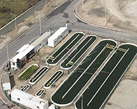 Algae blooms into promising biofuel