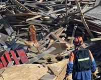International aid effort for Indonesia quake-tsunami swings into gear