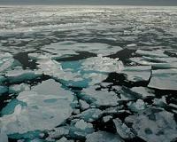 Sea ice plays a pivotal role in the Arctic methane cycle