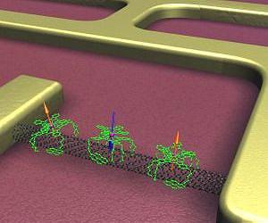 A realistic look at the promises and perils of nanomedicine