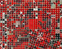 First applications from Sentinel-2A