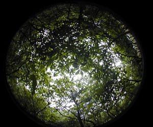 Climate-smart agriculture should be livelihood-smart too