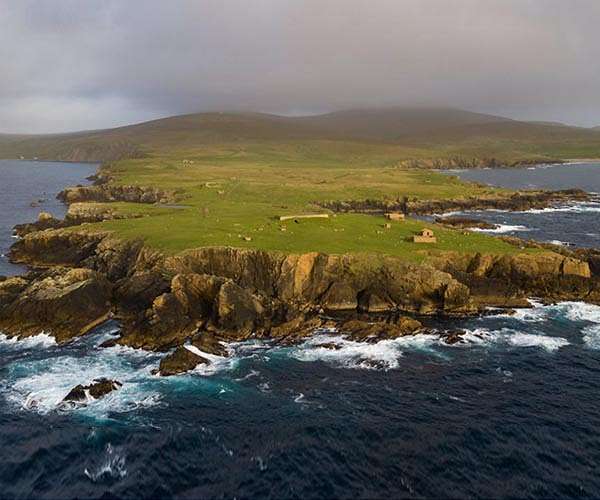 Shetland sanctuary fights to save seals as pollution takes toll
