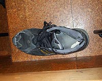 Chinese PM shoe protestor faces British court