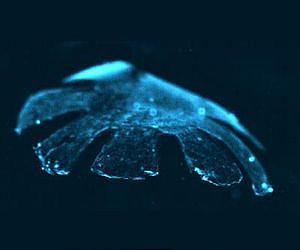 Microprinting leads to low-cost artificial cells