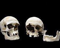 Archaeologists find 14th century Black Death 'plague pit' in England