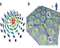 Scientists divide magnetic vortices into collectivists and individualists