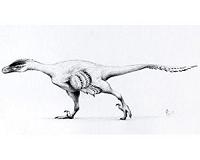 Big dinosaur discoveries in tiny toothy packages