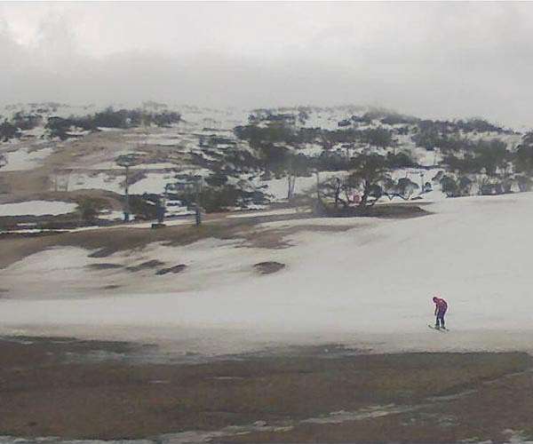 Climate change threatens Australia's snowy Alps
