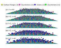 Giant charge reversal observed for the first time