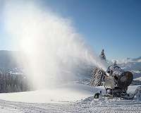 We now know how insects and bacteria control ice