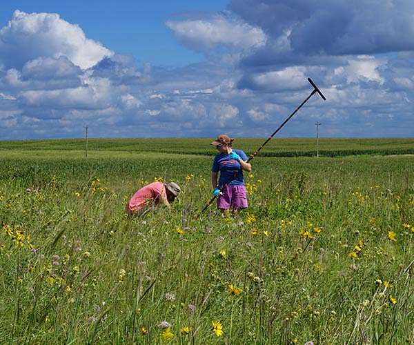 Soil in midwestern US is eroding 10 to 1,000 times faster than it forms, study finds