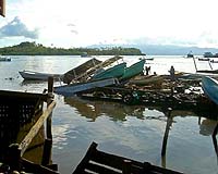 Dozens dead, villages flattened in Samoa quake, tsunami