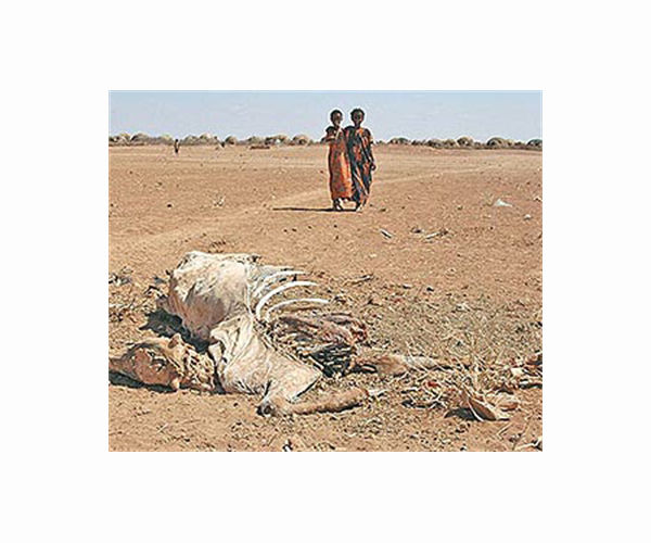 Dying children reflect brutal toll of Somalia drought