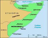 Support local Somali structures to curb piracy: report