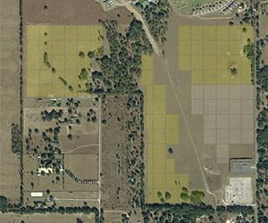 BlueChip Energy Announces Development Of 40MW Solar Farm In Florida