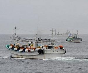 Saving our fish needs more than a ban on discarding