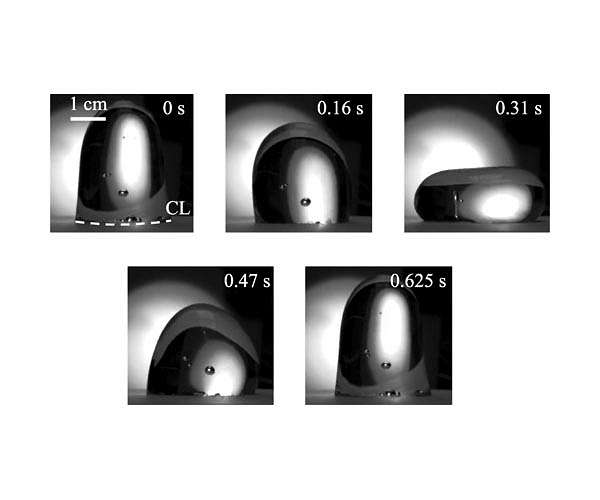 Wobbling droplets in space confirm late professor's theory