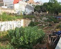 From building sites to cabbage patches in Spain's crisis