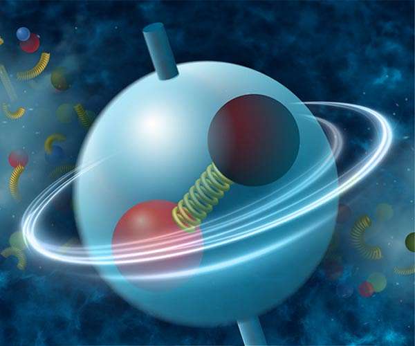 Data reveal a surprising preference in particle spin alignment
