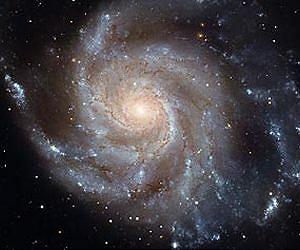 New Insights on How Spiral Galaxies Get Their Arms