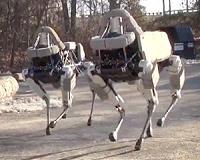 Human reflexes may keep legged robots from tripping