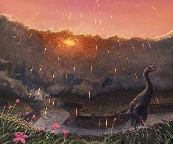 Plants that survived dinosaur extinction pulled nitrogen from air