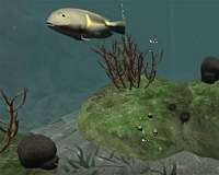 Virtual reality could serve as powerful environmental education tool