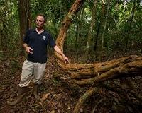 Vines choke a forest's ability to capture carbon