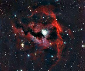 The Rich Colours of a Cosmic Seagull