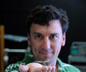 Dragonflies can see by switching 'on' and 'off'