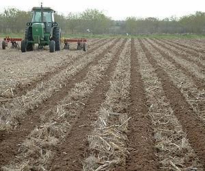Determining total fertility in strip-tilled fields