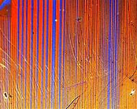 Quantum superconductor-metal to glass transition observed