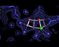 Watching how plants make oxygen