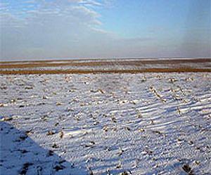 No-Till Farming Helps Capture Snow and Soil Water