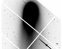 Subaru Telescope Observes Rapid Changes in a Comet's Plasma Tail